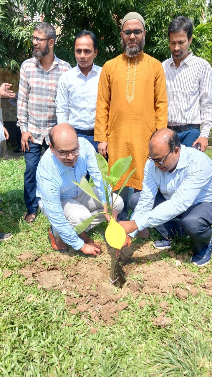 বৃক্ষ রোপন 